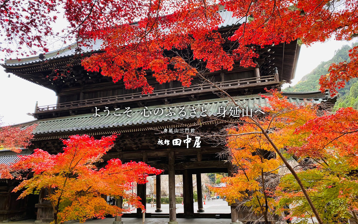 身延山三門前 旅館 田中屋・山梨の写真(山梨県身延町)