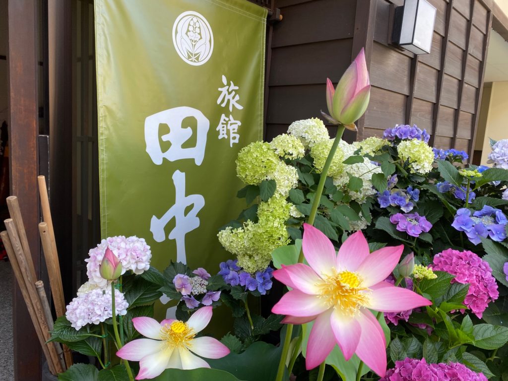 5月～7月の週末予約（貸切）について